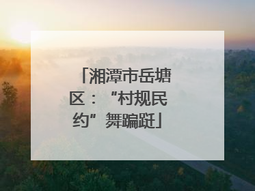 湘潭市岳塘区：“村规民约”舞蹁跹
