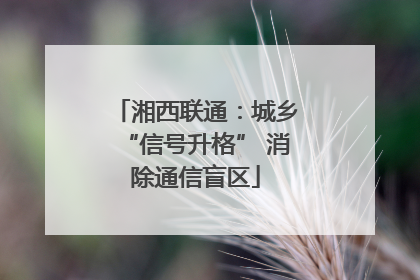 湘西联通：城乡“信号升格” 消除通信盲区