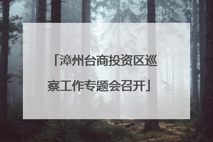 漳州台商投资区巡察工作专题会召开