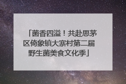 菌香四溢！共赴思茅区倚象镇大寨村第二届野生菌美食文化季