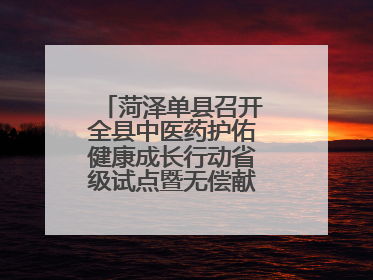 菏泽单县召开全县中医药护佑健康成长行动省级试点暨无偿献血工作会议