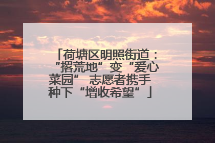 荷塘区明照街道：“撂荒地”变“爱心菜园” 志愿者携手种下“增收希望”