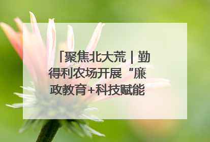 聚焦北大荒｜勤得利农场开展“廉政教育+科技赋能”主题党日活动