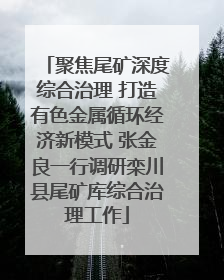 聚焦尾矿深度综合治理 打造有色金属循环经济新模式 张金良一行调研栾川县尾矿库综合治理工作