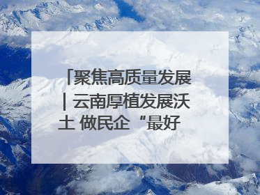 聚焦高质量发展｜云南厚植发展沃土 做民企“最好合伙人”
