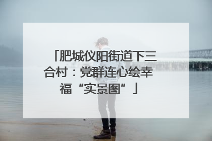 肥城仪阳街道下三合村：党群连心绘幸福“实景图”