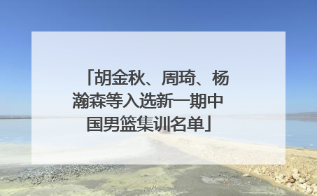 胡金秋、周琦、杨瀚森等入选新一期中国男篮集训名单