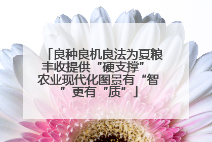 良种良机良法为夏粮丰收提供“硬支撑” 农业现代化图景有“智”更有“质”