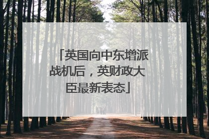 英国向中东增派战机后，英财政大臣最新表态