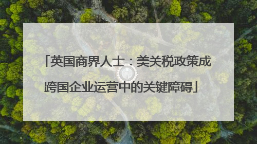 英国商界人士：美关税政策成跨国企业运营中的关键障碍