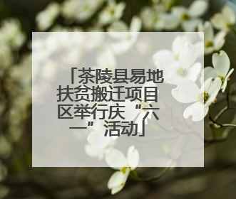 茶陵县易地扶贫搬迁项目区举行庆“六一”活动