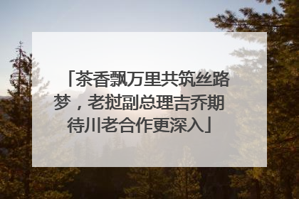 茶香飘万里共筑丝路梦，老挝副总理吉乔期待川老合作更深入