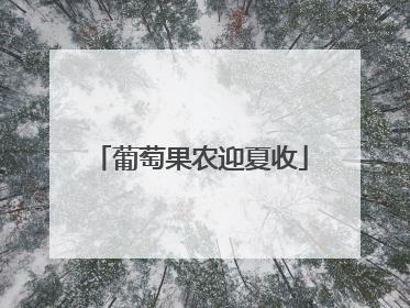 葡萄果农迎夏收