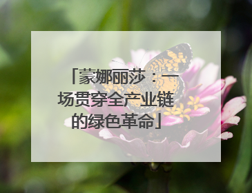 蒙娜丽莎：一场贯穿全产业链的绿色革命