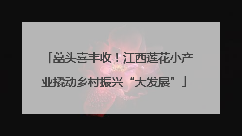 藠头喜丰收！江西莲花小产业撬动乡村振兴“大发展”