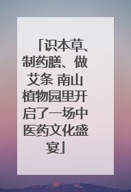 识本草、制药膳、做艾条 南山植物园里开启了一场中医药文化盛宴