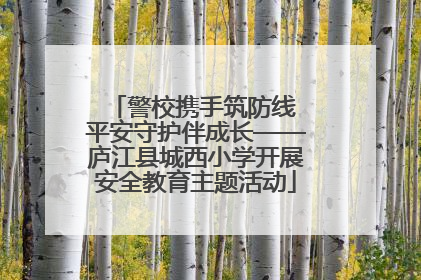警校携手筑防线 平安守护伴成长——庐江县城西小学开展安全教育主题活动