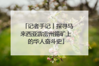 记者手记丨探寻马来西亚霹雳州锡矿上的华人奋斗史