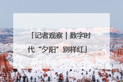 记者观察｜数字时代“夕阳”别样红