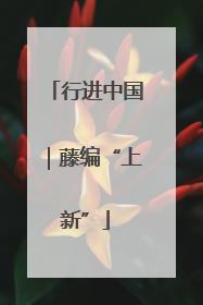 行进中国｜藤编“上新”
