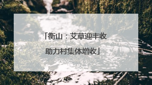 衡山：艾草迎丰收 助力村集体增收