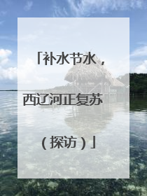 补水节水，西辽河正复苏（探访）