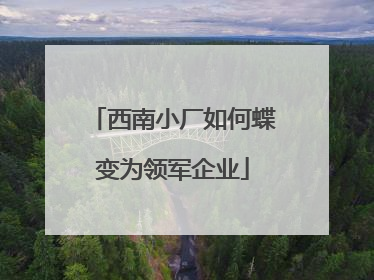 西南小厂如何蝶变为领军企业