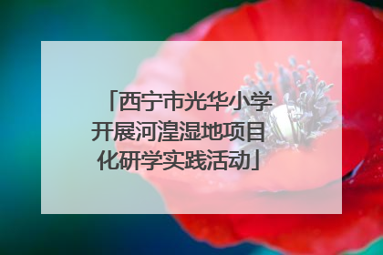 西宁市光华小学开展河湟湿地项目化研学实践活动