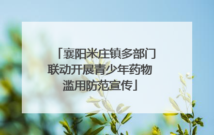襄阳米庄镇多部门联动开展青少年药物滥用防范宣传