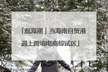 观海潮｜当海南自贸港遇上跨境电商综试区