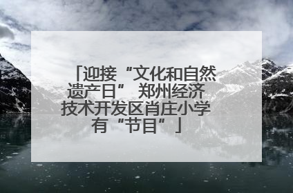 迎接“文化和自然遗产日” 郑州经济技术开发区肖庄小学有“节目”