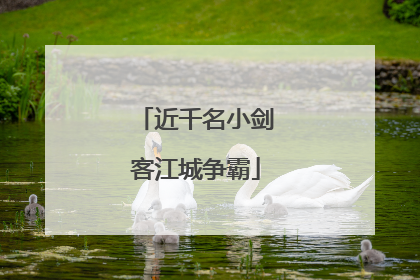 近千名小剑客江城争霸