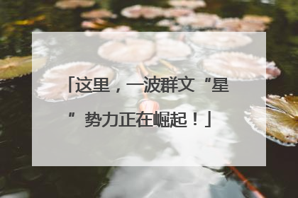 这里，一波群文“星”势力正在崛起！