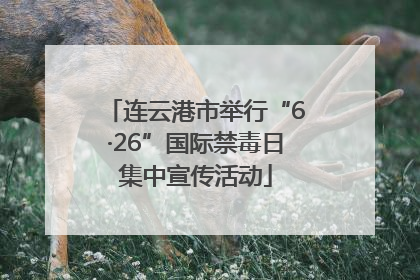 连云港市举行“6·26”国际禁毒日集中宣传活动