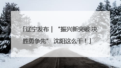 辽宁发布｜“振兴新突破 决胜勇争先” 沈阳这么干！