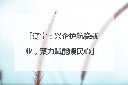 辽宁：兴企护航稳就业，聚力赋能暖民心