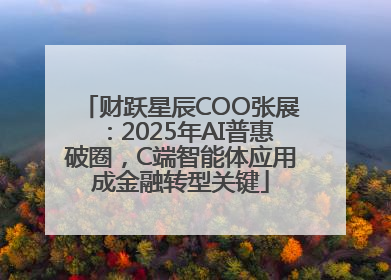 财跃星辰COO张展：2025年AI普惠破圈，C端智能体应用成金融转型关键