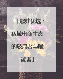 趣蛙优选：私域电商生态的破局者与赋能者