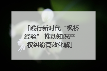 践行新时代“枫桥经验” 推动知识产权纠纷高效化解