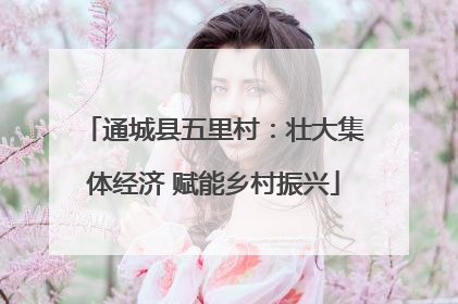 通城县五里村：壮大集体经济 赋能乡村振兴