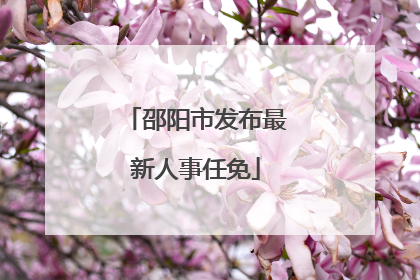 邵阳市发布最新人事任免