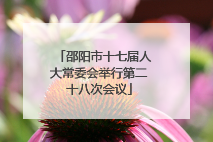 邵阳市十七届人大常委会举行第二十八次会议