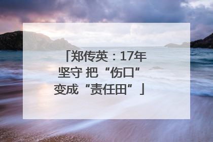 郑传英：17年坚守 把“伤口”变成“责任田”
