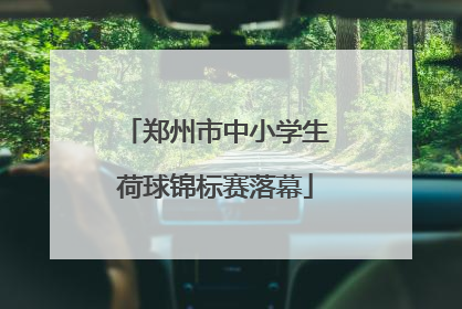 郑州市中小学生荷球锦标赛落幕