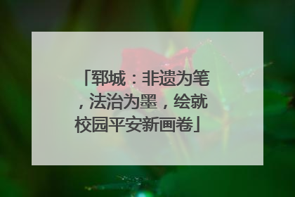郓城：非遗为笔，法治为墨，绘就校园平安新画卷