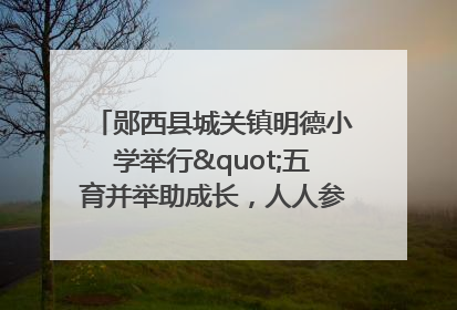 郧西县城关镇明德小学举行"五育并举助成长，人人参与逐梦行"庆六一活动