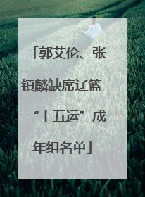 郭艾伦、张镇麟缺席辽篮“十五运”成年组名单