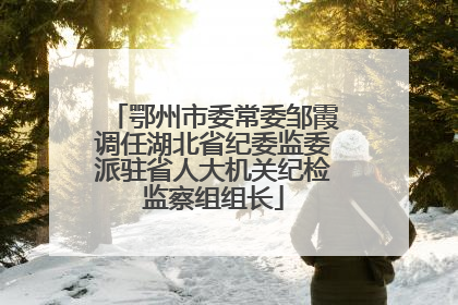 鄂州市委常委邹霞调任湖北省纪委监委派驻省人大机关纪检监察组组长