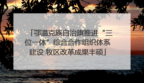 鄂温克族自治旗推进“三位一体”综合合作组织体系建设 牧区改革成果丰硕
