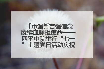 重温誓言强信念 赓续血脉担使命——四平中院举行“七一”主题党日活动庆祝建党104周年